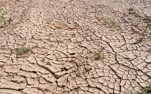 Weltwetterorganisation 2021 war eines der sieben wärmsten Jahre