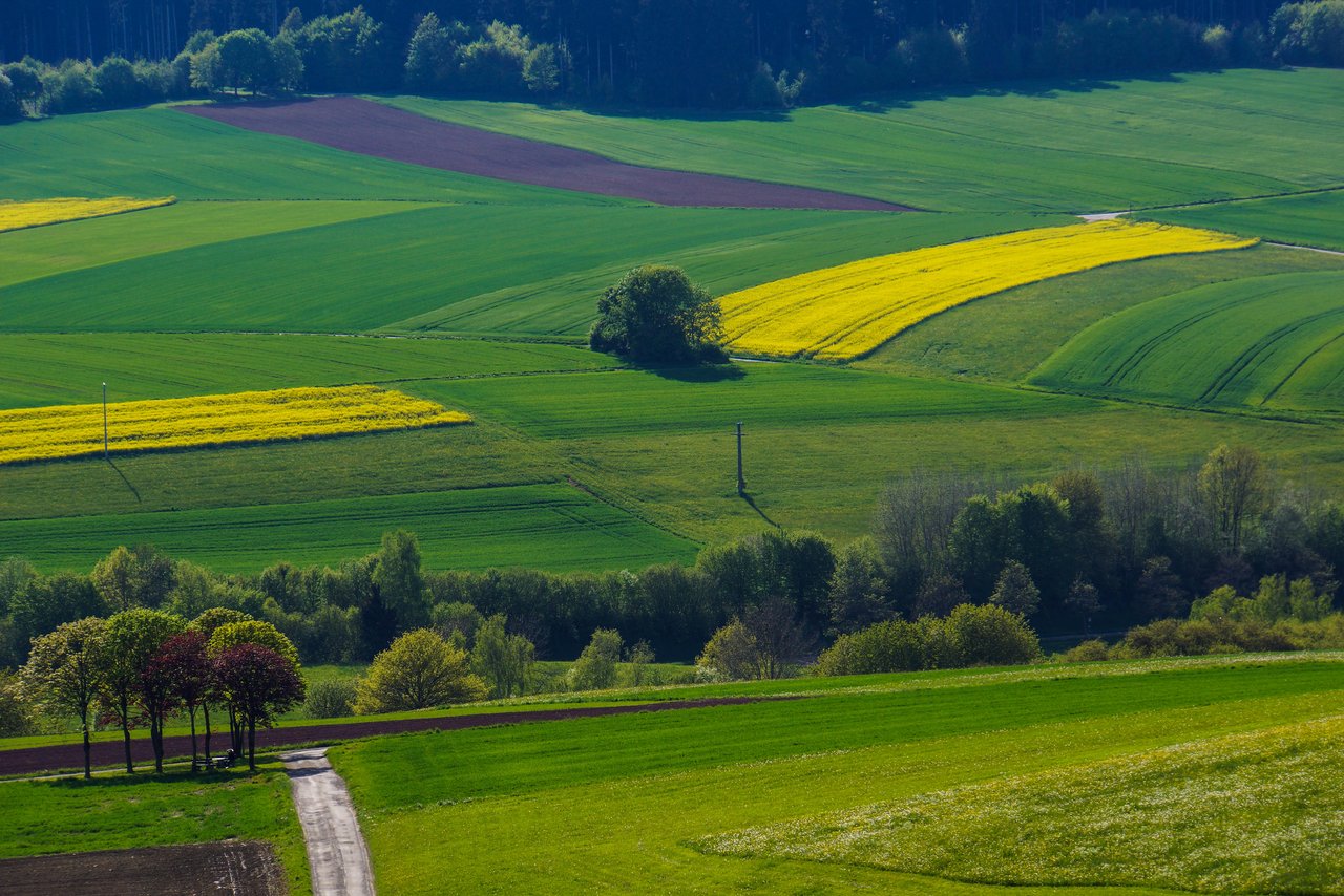 Vielfalt der Landwirtschaft ist Grundlage für Produktion