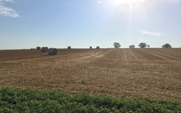 Direktzahlungen Reduzieren Den Wert Landwirtschaftlicher Arbeit