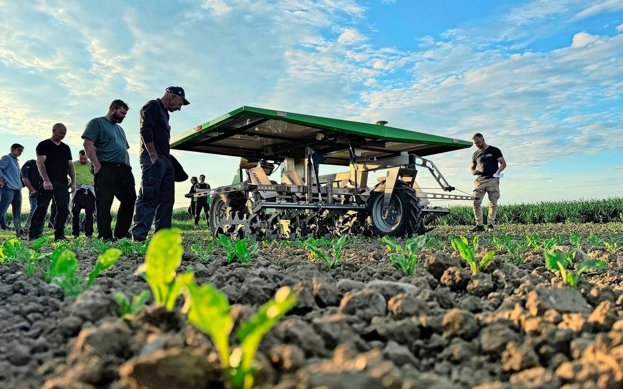 Der Farmdroid wird während seiner Arbeit von den Teilnehmern begutachtet. Via GPS weiss er, wo die Reihen sind und die Zuckerrübenpflanzen stehen.