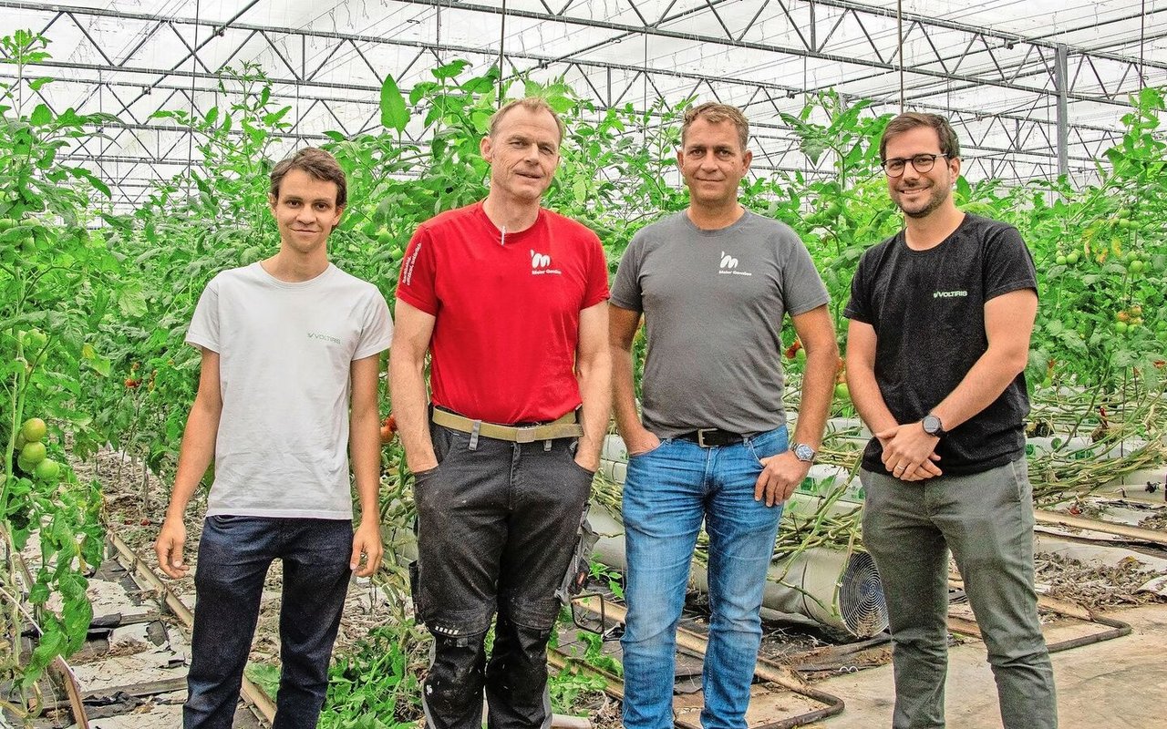 Dominik Blaser, Mitgründer und Produktingenieur bei Voltiris, Toni Suter, Geschäftsführer Meier Gemüse, Ruedi Meier, Geschäftsinhaber Meier Gemüse, Nicolas Weber, Mitgründer und CEO von Voltiris (v. l.). 