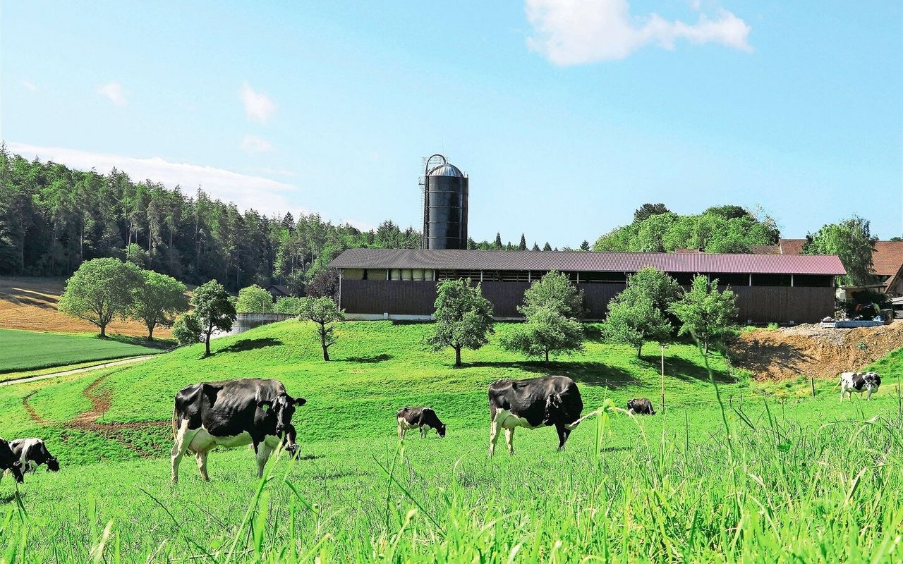 Der Hof von Familie Bieri liegt oberhalb von Untersiggenthal.