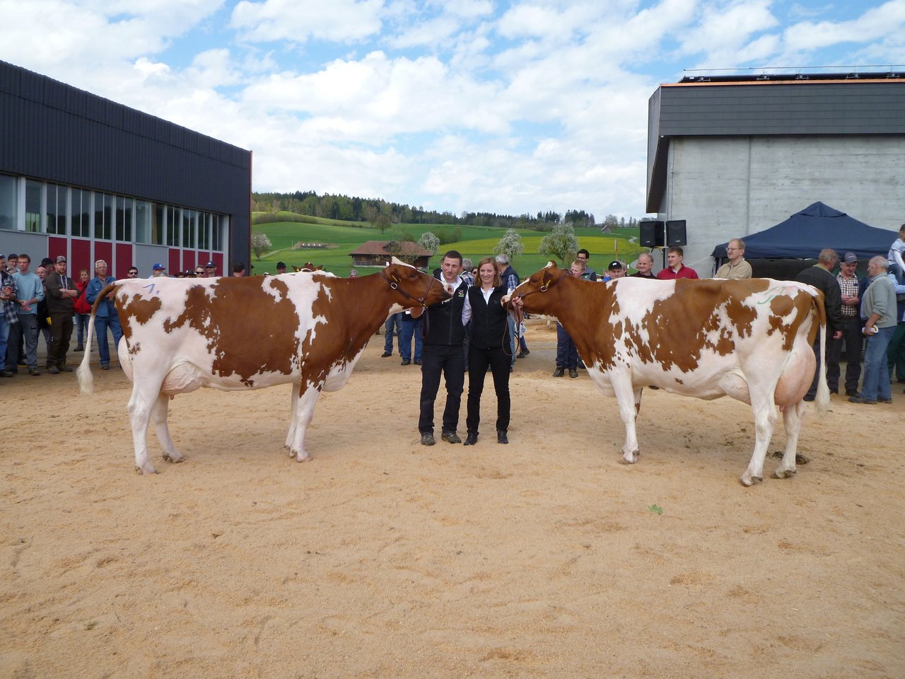 Miss Eichberg Savard Selina (links) und Vize-Miss Figaro Paloma, beide von Elmar Koch, Sempach. (Bild Philipp Meier)