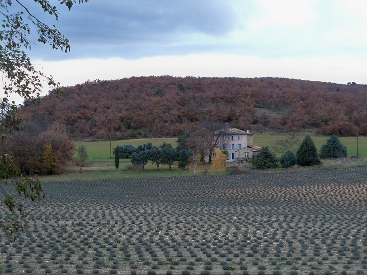 Die biologische bewirtschaftete Fläche steigt auch in Frankreich stetig an. (Bild Pixabay)