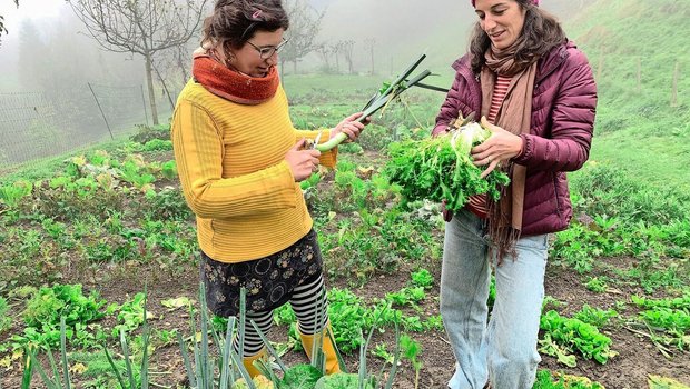 Madeleine Michel (l.) und Olivia Stafflage in ihrem Selbsterntegarten auf der Summerweid in Sarnen. Sie bieten ihr Konzept für weitere Interessierte an. 