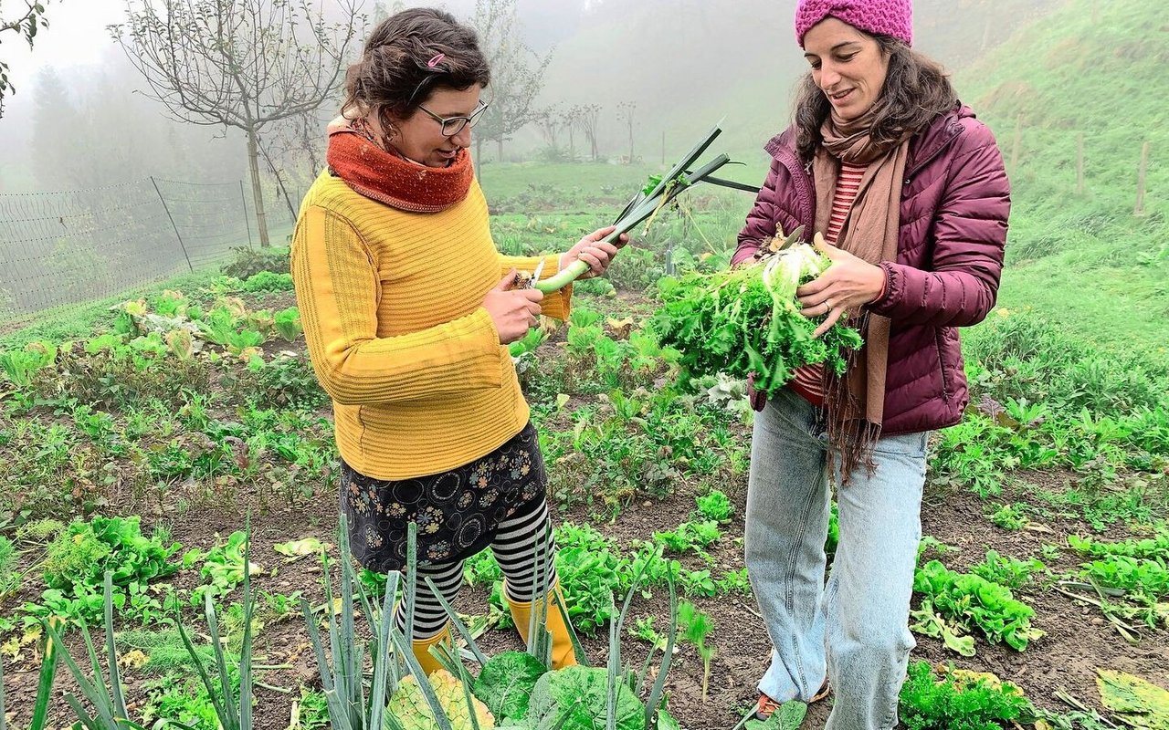 Madeleine Michel (l.) und Olivia Stafflage in ihrem Selbsterntegarten auf der Summerweid in Sarnen. Sie bieten ihr Konzept für weitere Interessierte an. 