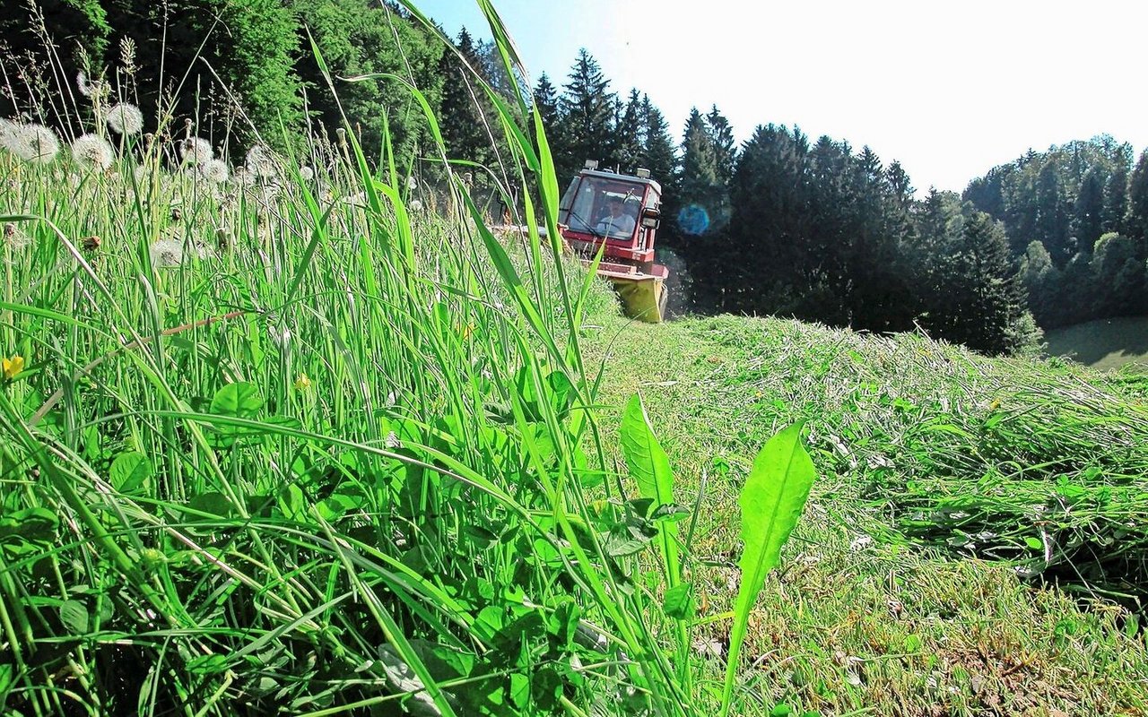 Neu gibt es u. a. für die Anschaffung elektrischer Zweiachsmäher ab 30 kW Fördergelder vom Bund.