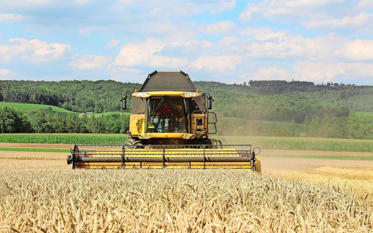 Aktuell sieht es schlecht aus: Mitte Oktober folgt die Gesamterhebung der Brotgetreide-Erntemengen.