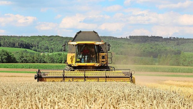 Aktuell sieht es schlecht aus: Mitte Oktober folgt die Gesamterhebung der Brotgetreide-Erntemengen.