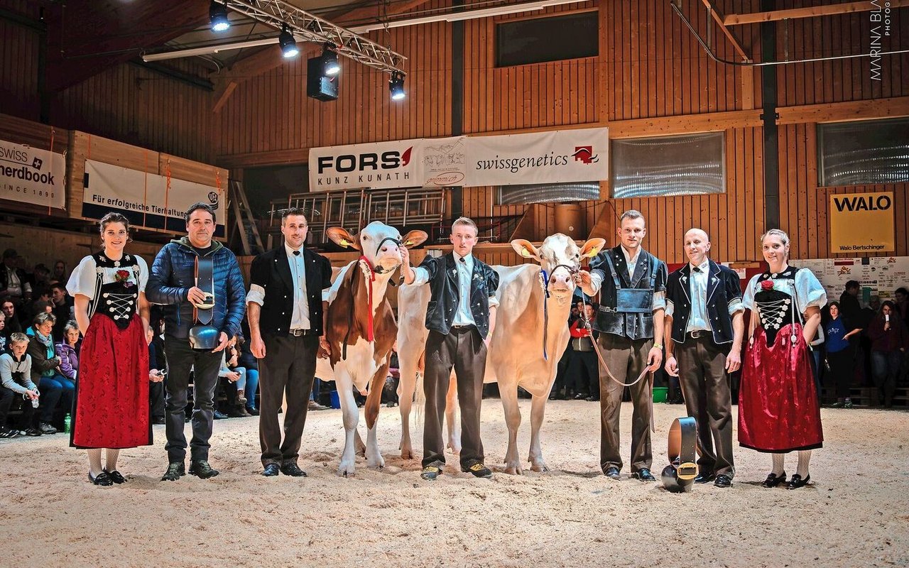 Miss Swiss Fleckvieh: Van Gogh Ronja (l.), Adrian Hehlen; Miss Schöneuter: Haldi’s Lord Krokus, David Mani.