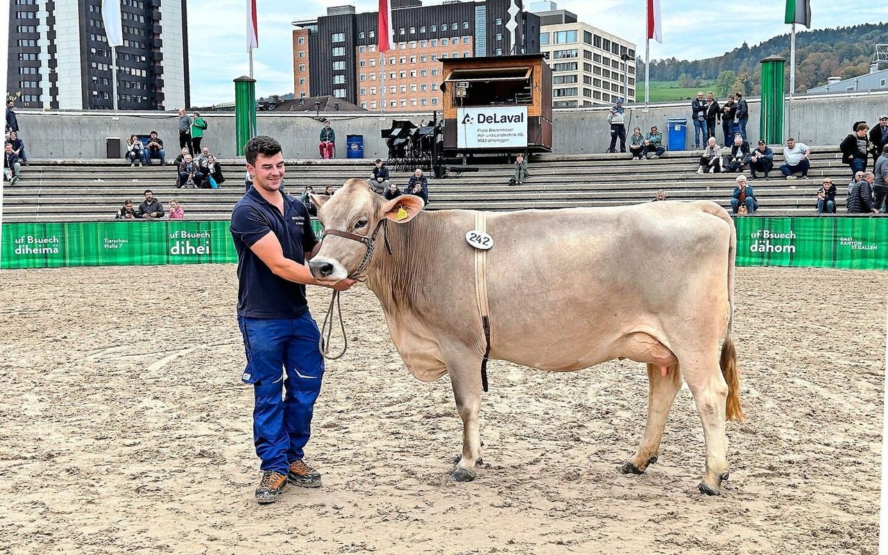 Die Jungkuh Philippa mit einem Tagesgemelk von 35,8 kg von Züchter Markus Dörig aus Haslen AI erzielte bei der Auktion mit Fr. 5000.– den besten Preis.