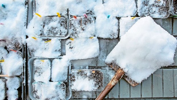 Auch bei Schnee kann man säen, wenn auch nicht alle Pflanzen. Doch eine ganze Reihe von Gewächsen profitiert vom Kaltanbau.