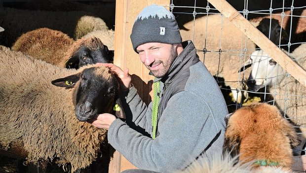 50 Spiegel- und Skudden-Schafe sowie einige Mischlinge und 50 Damhirsche leben auf dem Biohof von David und Bea Gerke. Er umfasst 6 ha eigene LN und 2 ha Pacht, dazu kommen 5 ha Wald und eine Fischzucht.