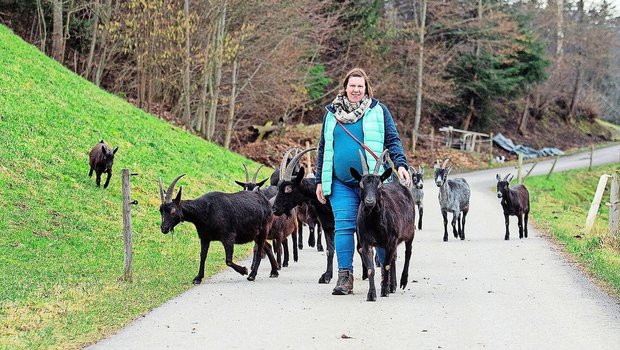 Cornelia Stalder ist mit ihrer Herde von Capra-Grigia- und Nera-Verzasca-Ziegen unterwegs. So frei laufen diese auch auf den angebotenen Wanderungen.