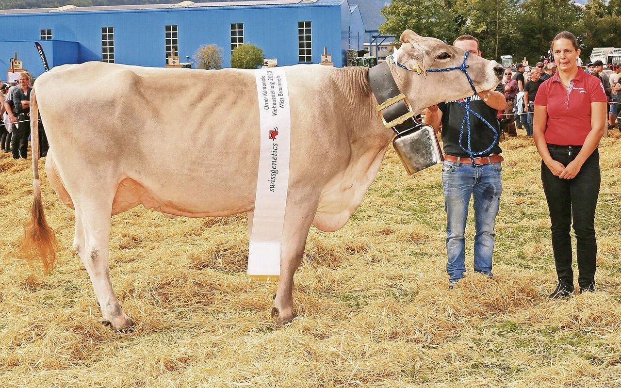 Brown-Swiss-Miss wurde Global View Superstar Hollywood von Simon Gisler, Haldi b. Schattdorf.