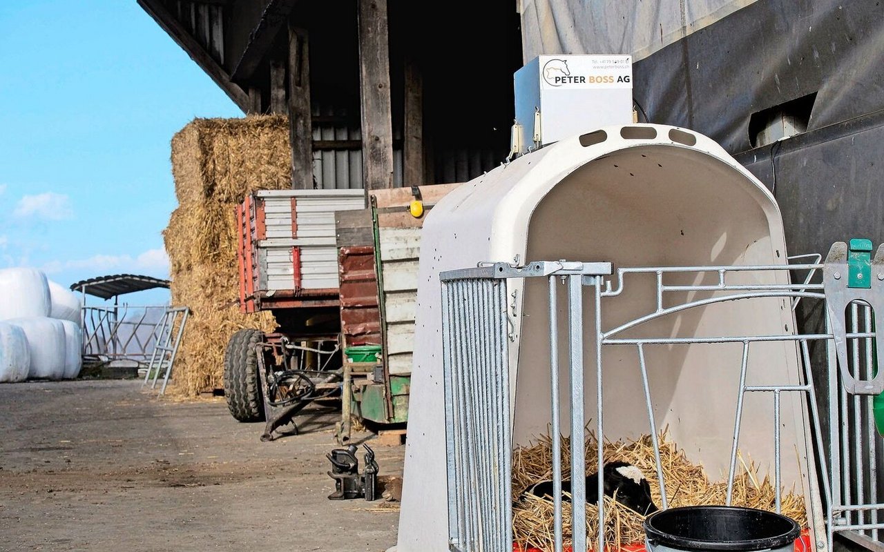 Dieses Kalb ist drei Wochen vor dem Termin auf die Welt gekommen. «Früher hätten wir Mühe gehabt, diesen Kerl durchzubringen. Mit der Wärme des Solariums stehen die Chancen aber gut», sagt Senior-Landwirt Paul Frey von der Staffelegg im Kanton Aargau.