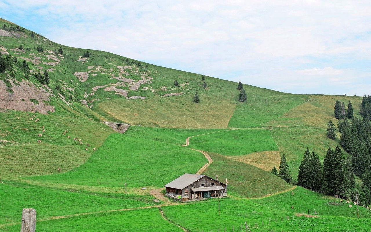 IP-Suisse begrenzt in seinen Richtlinien den Anteil Flächen, die keine oder wenig biodiversitätsfördernde Strukturen aufweisen.