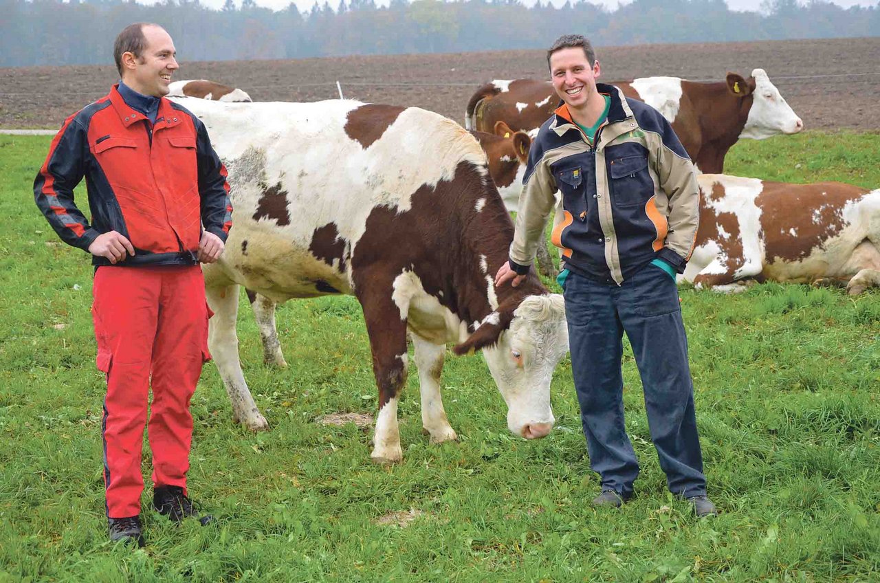 Renaud Besson und Vincent Monnier halten auf ihren Betrieben 35 Montbéliard-Kühe. (Bild js)