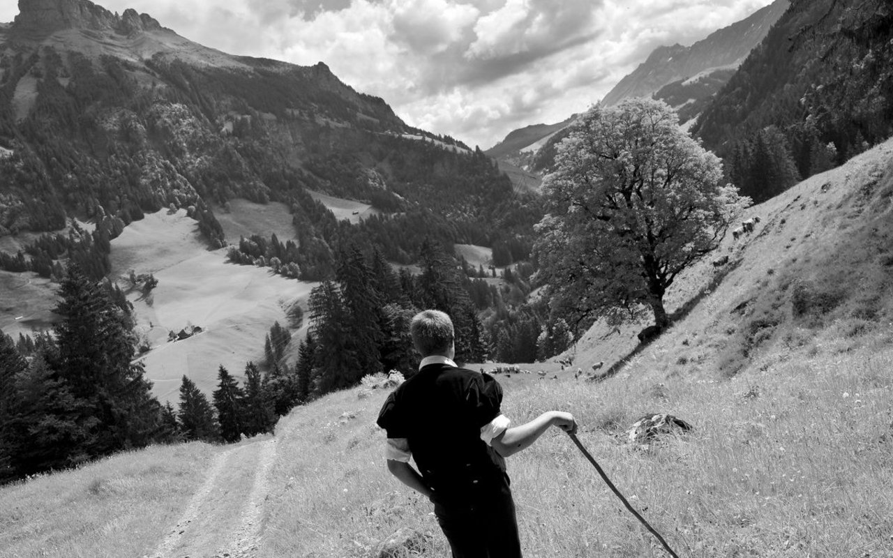 Hansueli steht zwischen dem Hohgant, der Schrattenfluh und dem Brienzer Rothorn, seine Kühe auf der Alpauffahrt herbeirufend. (Bild Pinaki)