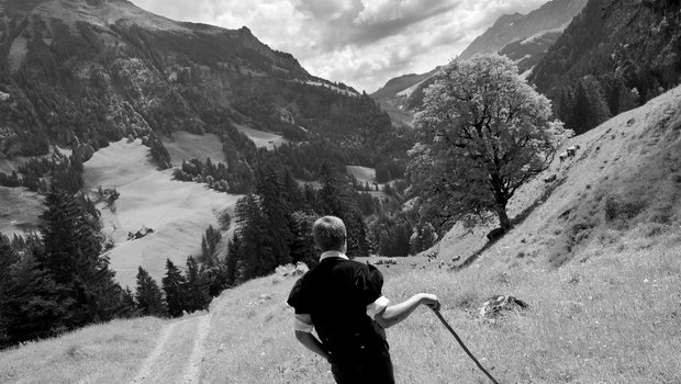 Hansueli steht zwischen dem Hohgant, der Schrattenfluh und dem Brienzer Rothorn, seine Kühe auf der Alpauffahrt herbeirufend. (Bild Pinaki)