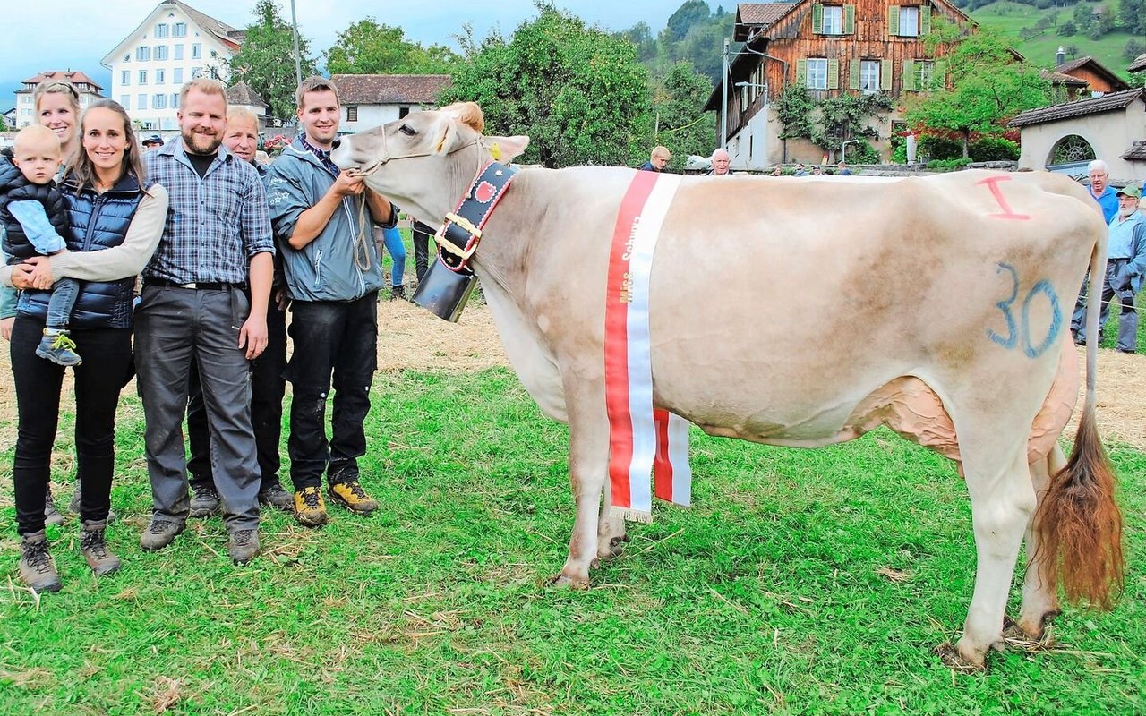 Miss Schwyz: Drittlaktierende Capucino Capin von Bruno Kälin, Steinen.