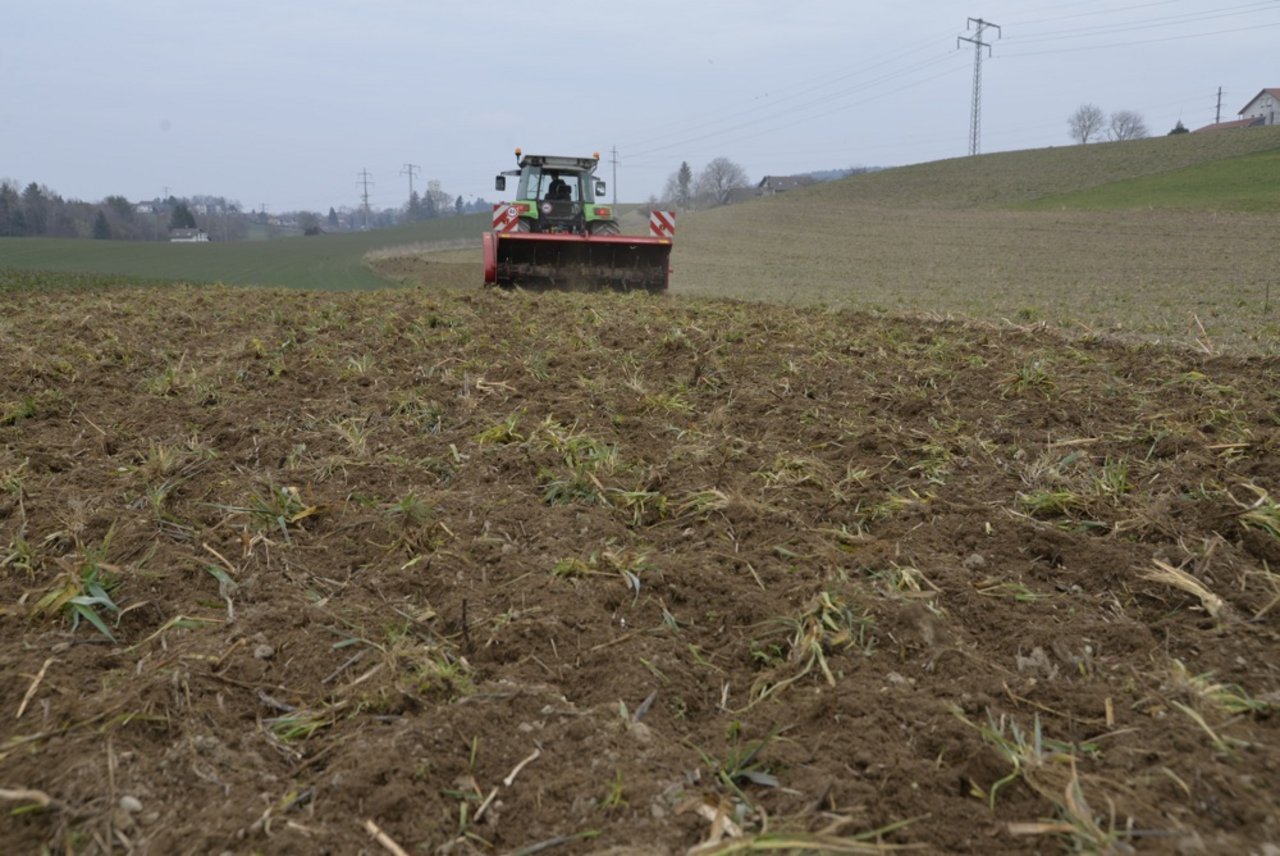 Der CMN Vario Digger ist eine Möglichkeit, im Biolandbau gegen hartnäckige Unkräuter vorzugehen. (Bild: Katharina Scheuner)