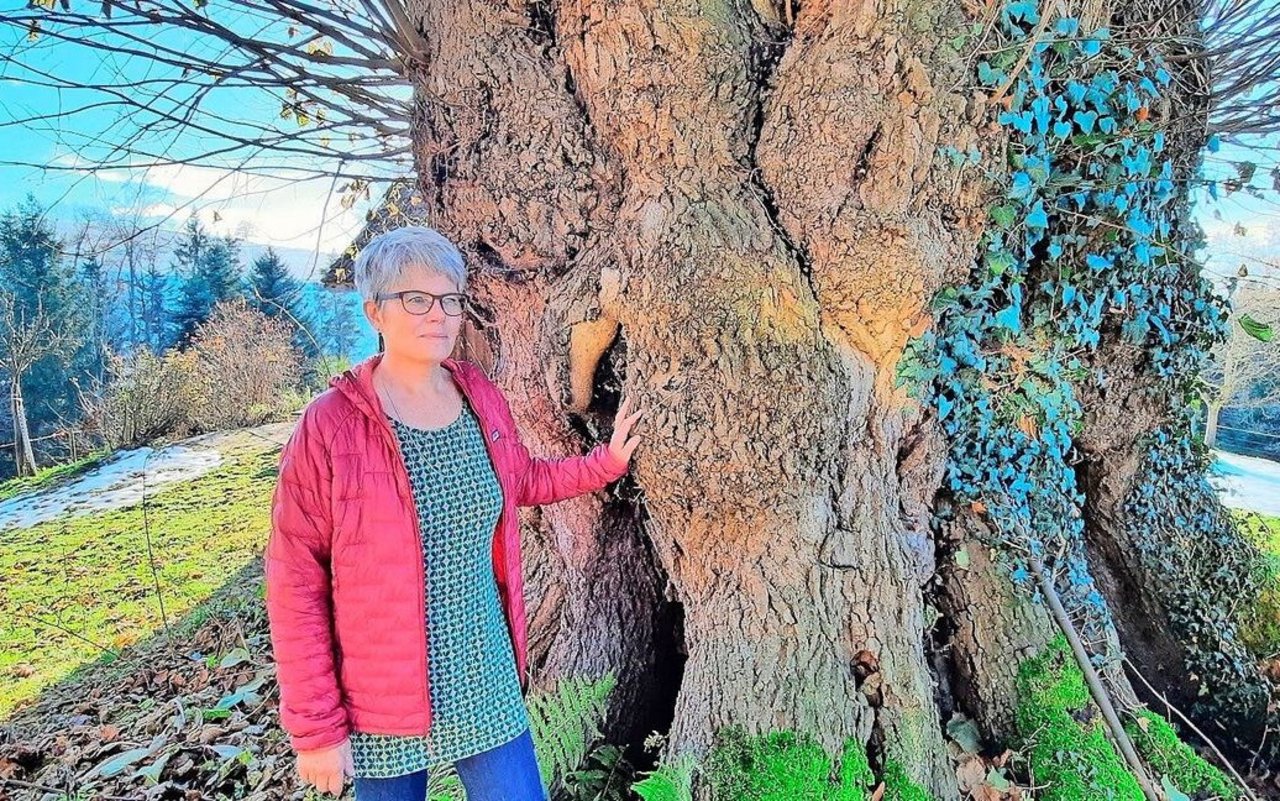 Doris Brönnimann mit einer über 300-jährigen Linde, die auf dem Hof steht. «Die Linde war vor uns allen da», sagt die 60-Jährige. Der Betrieb wird seit zwei Jahren von ihrem Sohn und dessen Partnerin bewirtschaftet.