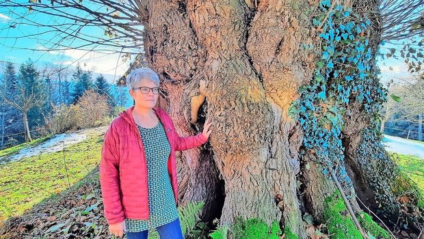 Doris Brönnimann mit einer über 300-jährigen Linde, die auf dem Hof steht. «Die Linde war vor uns allen da», sagt die 60-Jährige. Der Betrieb wird seit zwei Jahren von ihrem Sohn und dessen Partnerin bewirtschaftet.