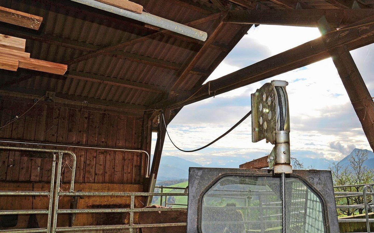 Bei weiteren Strecken das Kabel umstecken: Das ist die neue Realität für die Arbeiten mit dem E-Bobcat. «Das geht aber ohne Probleme», sagt der Tüftler.