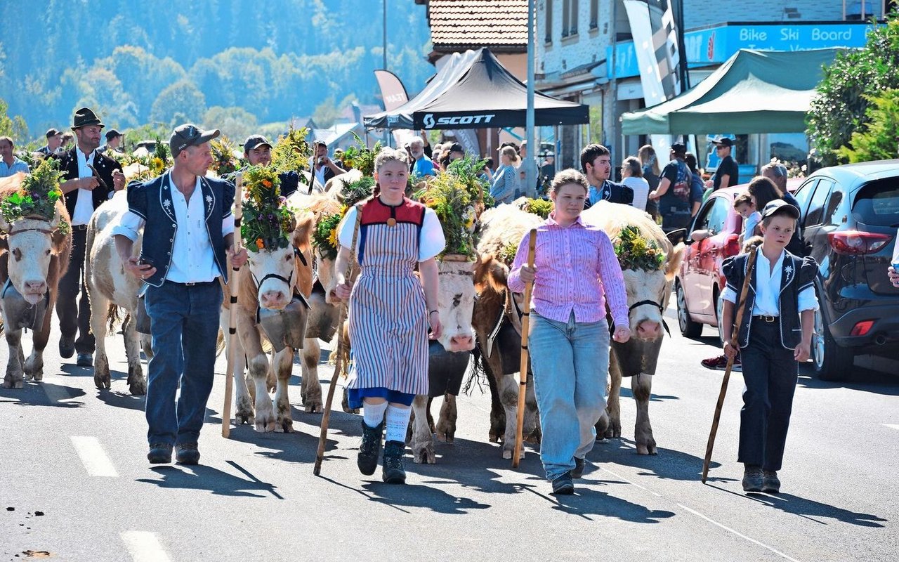 Sie zügelten zusammen: die Riggisalp und Salzmatt mit ihren Tieren. 