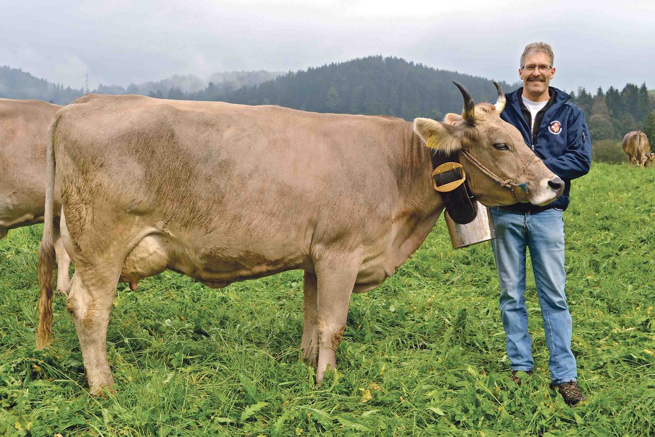 Verbandspräsident Felix Honegger aus Hinwil ZH mit seiner Zweitkalbskuh Rino Riva, welche von Kopf bis Schwanz alle Vorzüge der reinen OB-Rasse repräsentiert. (Bild pf)