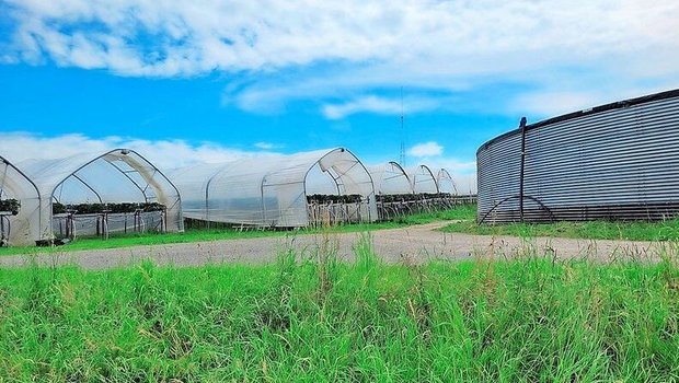 Wasser und Witterungsschutz stellen wichtige Elemente für eine erfolgreiche Produktion von Spezialkulturen dar. 