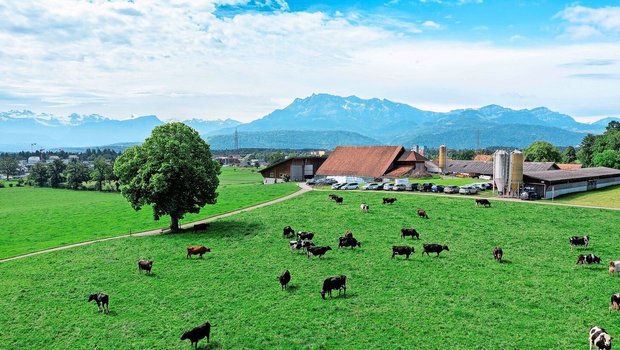 Weidende Kühe machen der menschlichen Ernährung wenig Konkurrenz. Damit sie das Gras effizient zu Milch verwerten, macht Kraftfutter dennoch Sinn – auch aus Gründen der Nachhaltigkeit.