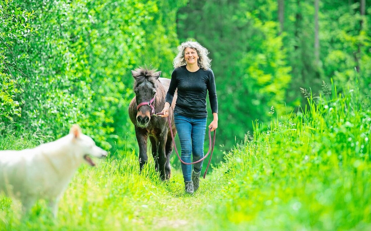 Neben einer der Hecken, die zum Betrieb gehören, spaziert Corinne Kählin mit ihrer alten Stute Dögg. Im Vordergrund die Hündin Dis, eine der sieben Hunde, die auf dem Hof alt werden dürfen.