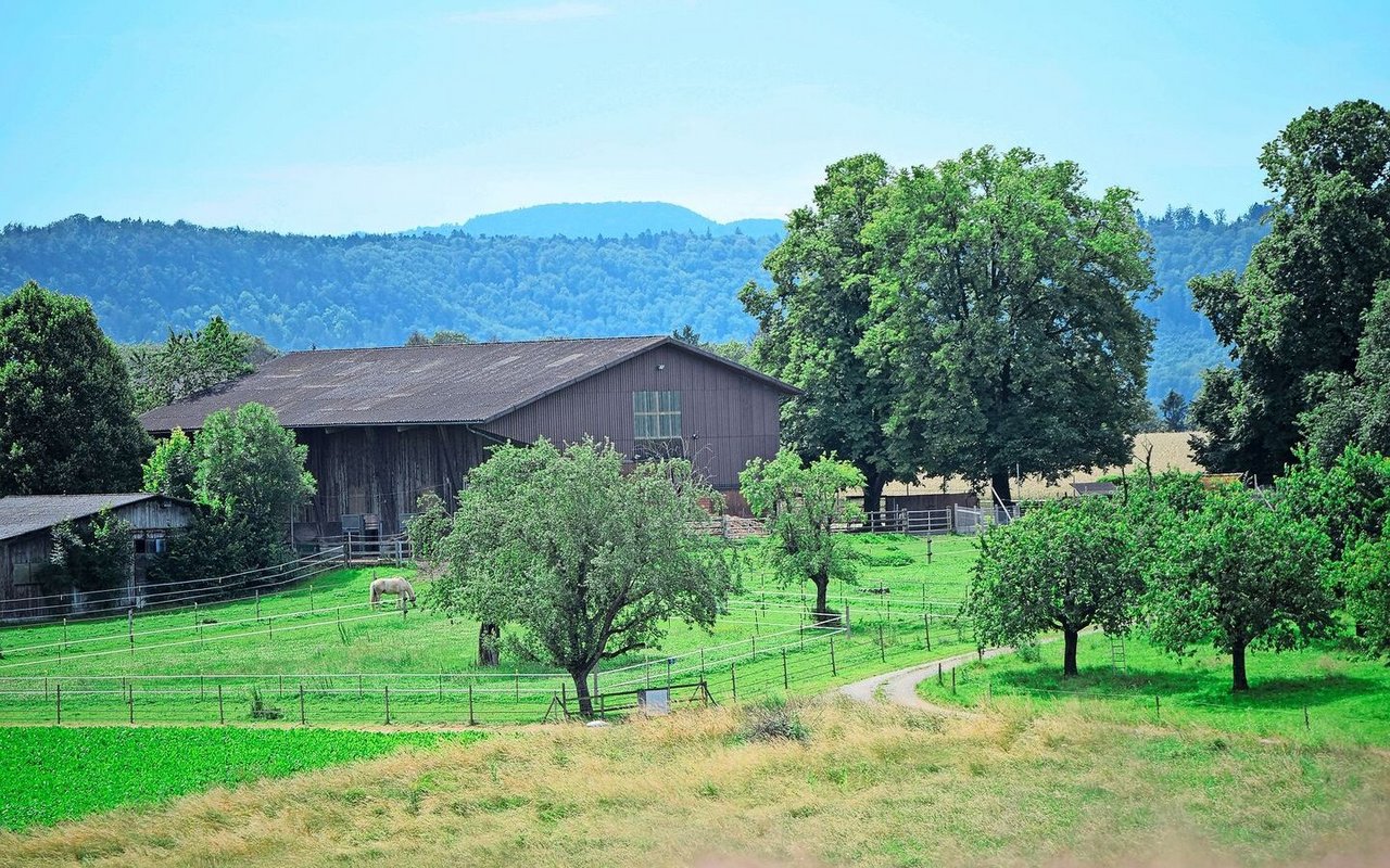 Der idyllisch gelegene, gepachtete Hof auf dem Lohnberg in der Gemeinde Zuzgen. Der kleine Weiler mit Blick in den Südschwarzwald ist von Landwirtschaft dominiert. 