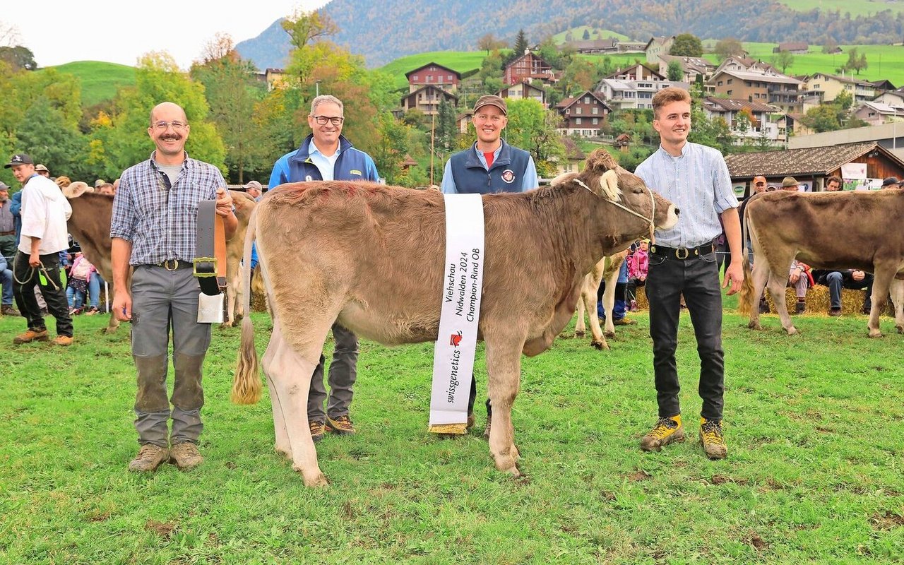 Das schönste OB-Rind war die ausbalancierte Orbiter-Tochter Oraika von Peter Huser, Ennetbürgen.