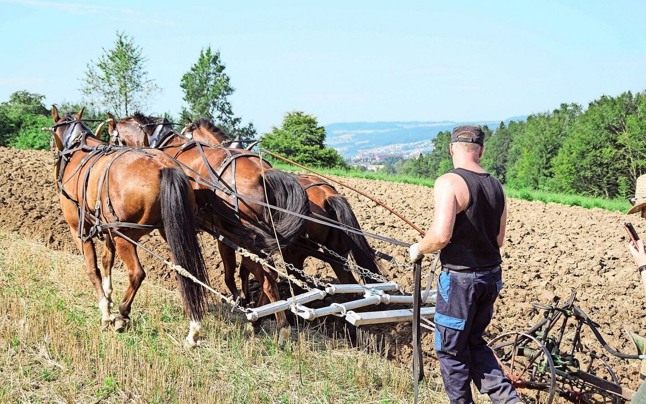 Beim Dreiergespann gehen je nach Breite der Pferde Seitenkräfte für den Zug verloren. 