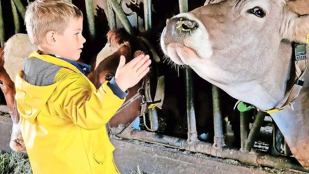 Mit dem Tag der offenen Hoftüren sollte die Bevölkerung Gelegenheit erhalten, auf einem Bauernhof «reinzuschauen».