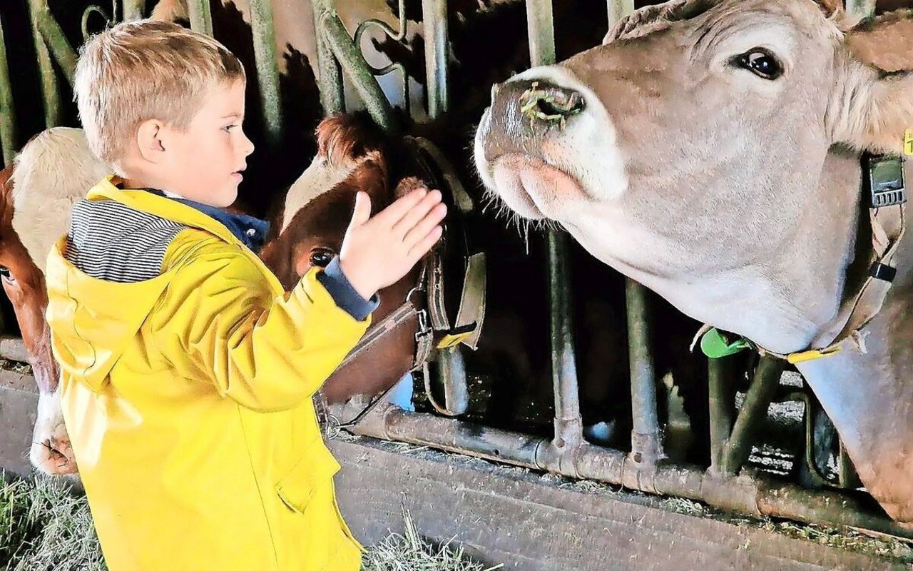 Mit dem Tag der offenen Hoftüren sollte die Bevölkerung Gelegenheit erhalten, auf einem Bauernhof «reinzuschauen».