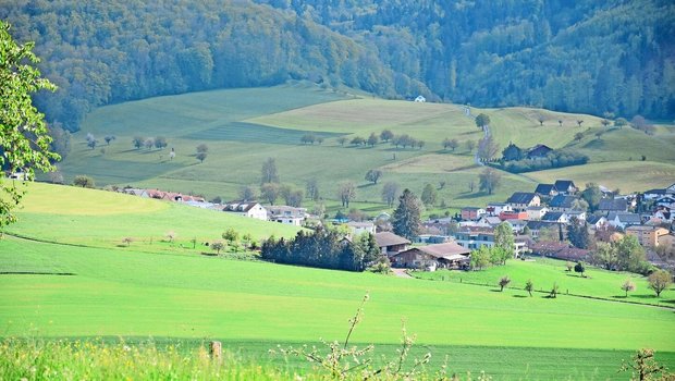 Die BDI will auch schöne Landschaften und Ortsbilder schützen, die für den Schweizer Tourismus zentral seien.