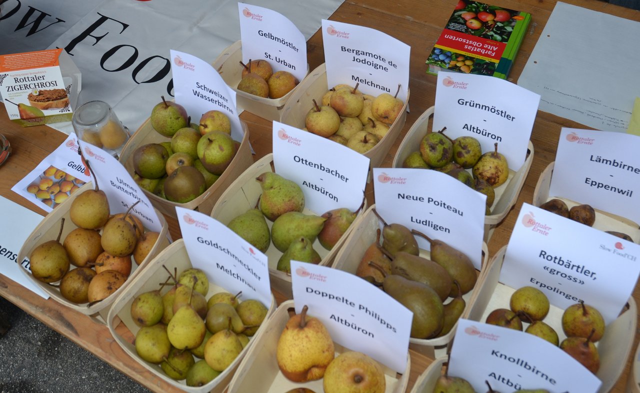  Am 12. Rottaler Erntefest stand unter anderem die grosse Birnenvielfalt am Dreikantonseck Luzern, Bern, Aargau im Vordergrund. (Bilder zVg)