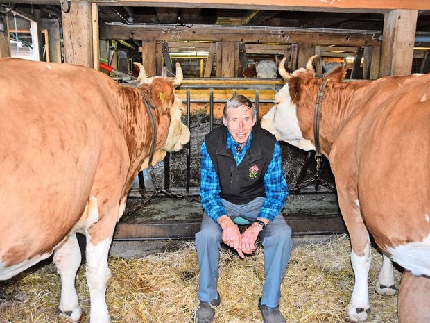 Konrad Klötzli aus Achseten BE schwärmt von der Simmentalerrasse. In seinem Stall hat er mehr als eine Schönheit hervorgebracht. 