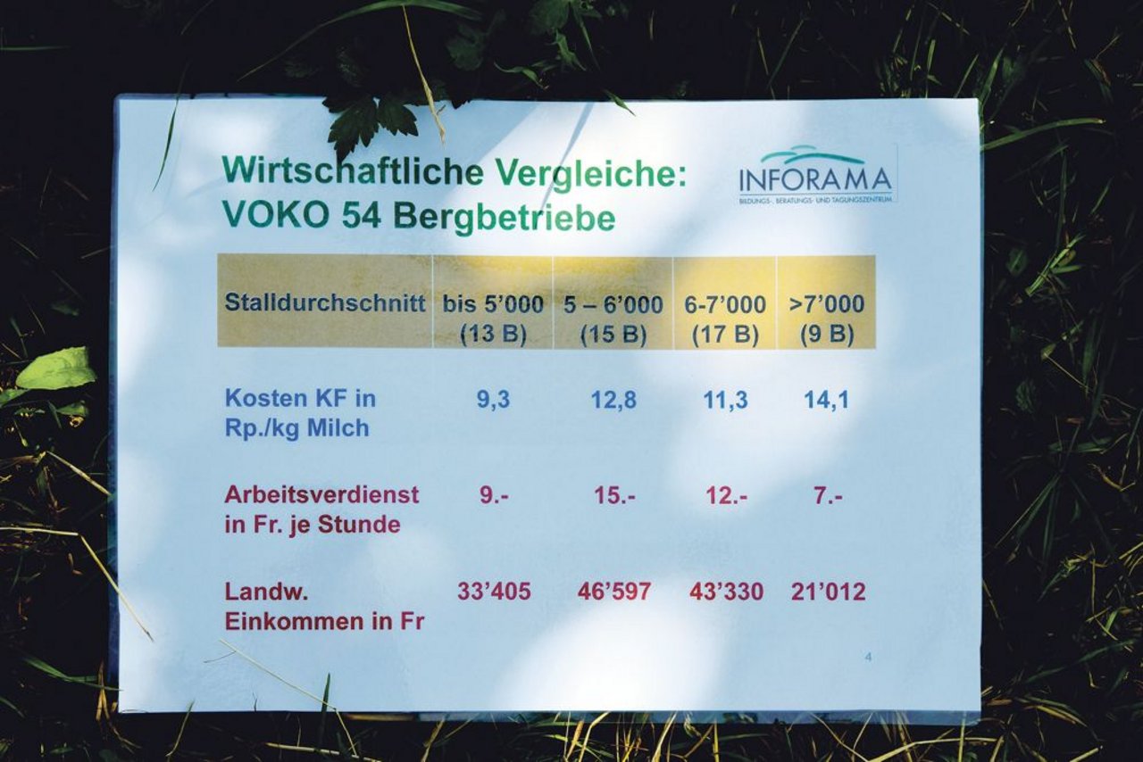 Nicht immer ergibt der höchste Stalldurchschnitt das grösste landwirtschaftliche Einkommen.