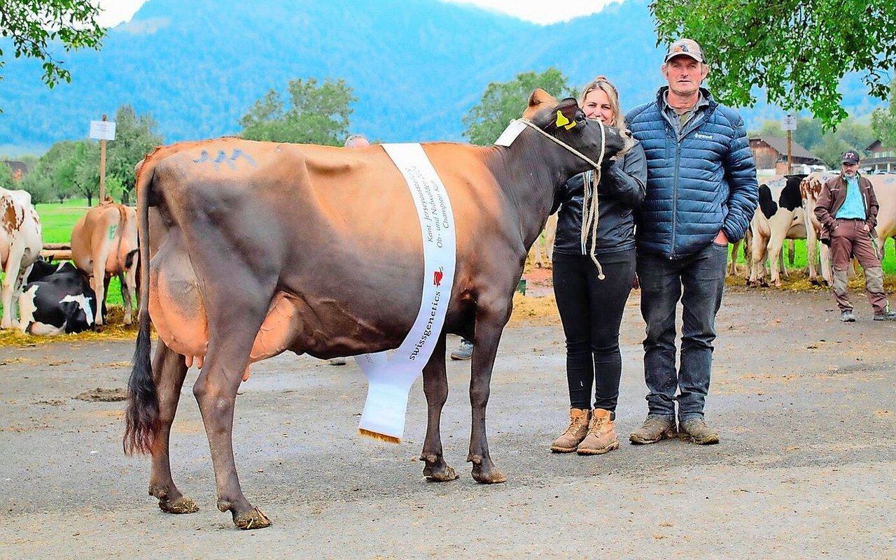 Jane von Jasmin und Christof Küchler, Kägiswil, war die schönste Jersey-Kuh in Giswil.