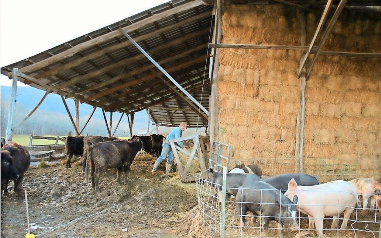 Die Heuraufe lässt sich mit einem Flaschenzug nach oben ziehen. Denn die Rinder stehen während der Wintermonate im Stall auf einer wachsenden «kohlenstoffreichen Windel».