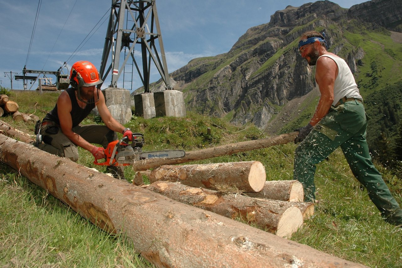 Idealer Einsatz eines Zivildienstleistenden auf Alp Sinsgäu ob Oberrickenbach: Mathias Herzog (l.) ist gelernter Forstwart und hilft Älpler Koni Schön bei der Herstellung von Hagpfosten. (Bild Josef Scherer)