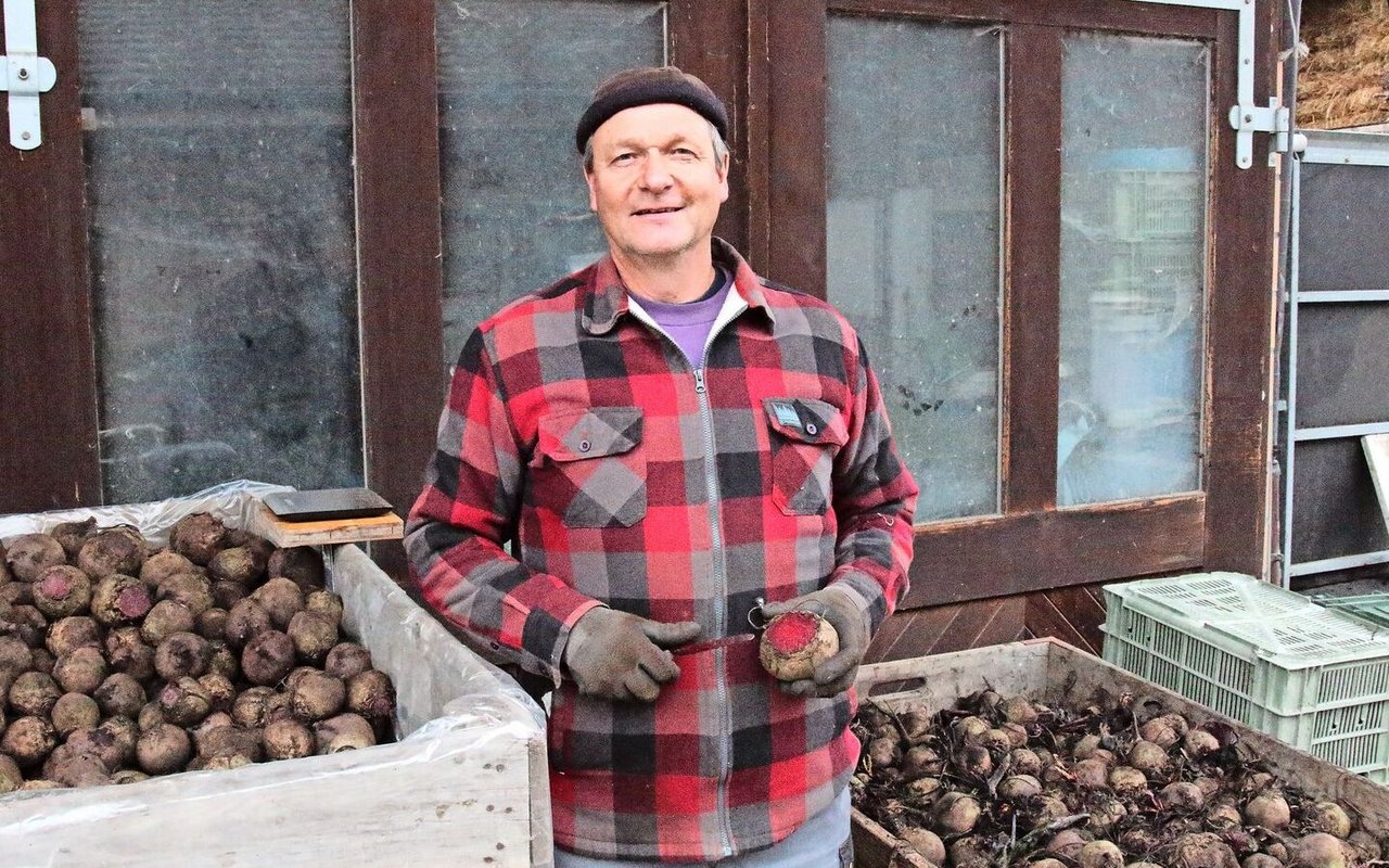 Gerhard Fawer lagert die Randen nach der Ernte kurzzeitig selbst. Bis Ende Januar rüstet er die Knollen regelmässig. Erst danach liefert er sie an seine Abnehmer. 