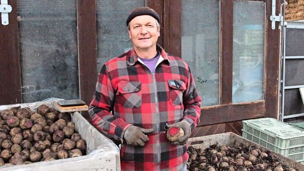 Gerhard Fawer lagert die Randen nach der Ernte kurzzeitig selbst. Bis Ende Januar rüstet er die Knollen regelmässig. Erst danach liefert er sie an seine Abnehmer. 