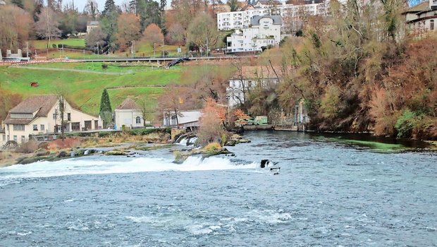 Das Wasserkraftwerk am Rheinfall auf der Neuhauser Seite besteht seit bald 75 Jahren und fällt kaum auf.