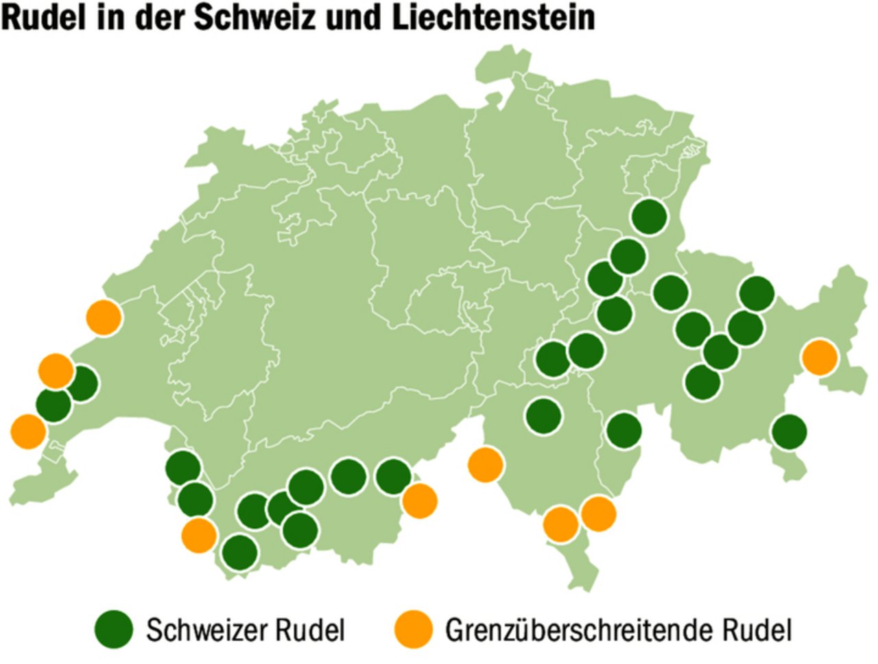 Stand November 2024 gibt es in der Schweiz 35 Wolfsrudel, davon neun grenzüberschreitende. Ende Januar waren es noch 38 Rudel. 